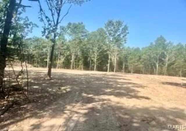 Photo 3 of Land for sale at Tract 1 & 2 W Hwy 32, Licking, MO 65542 | MLS# MIS26056744 | Listing updated on 2026-09-02