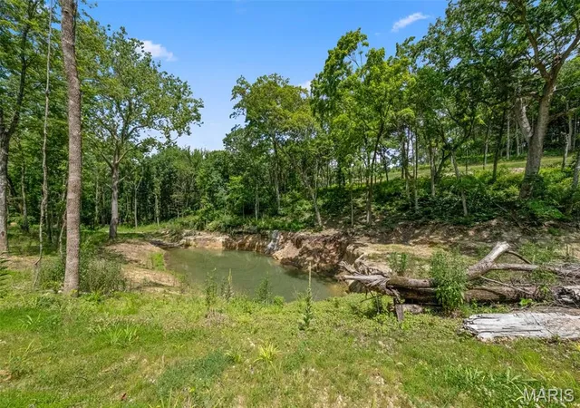 Photo 1 of Land for sale at 45 +/- Ac Twin River Rd, Eureka, MO 63025 | MLS# MIS26056747 | Listing updated on 2026-09-03