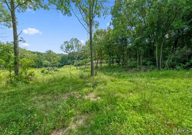 Photo 4 of Land for sale at 45 +/- Ac Twin River Rd, Eureka, MO 63025 | MLS# MIS26056747 | Listing updated on 2026-09-03