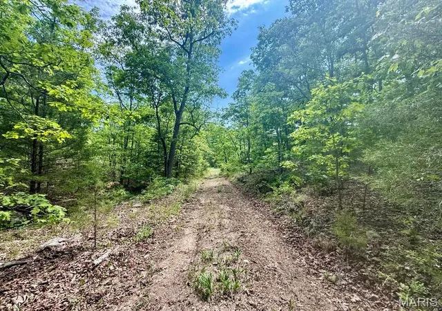 Photo 1 of Land for sale at 000 Bailey, Licking, MO 65542 | MLS# MIS26056753 | Listing updated on 2026-09-02