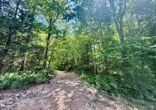 Photo 2 of Land for sale at 000 Bailey, Licking, MO 65542 | MLS# MIS26056753 | Listing updated on 2026-09-02