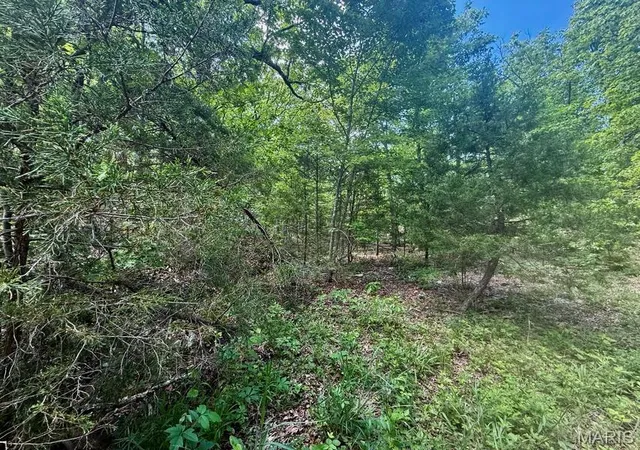 Photo 3 of Land for sale at 000 Bailey, Licking, MO 65542 | MLS# MIS26056753 | Listing updated on 2026-09-02