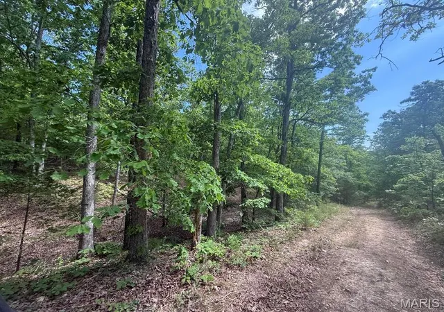 Photo 3 of Land for sale at 000 Bailey, Licking, MO 65542 | MLS# MIS26056753 | Listing updated on 2026-09-02