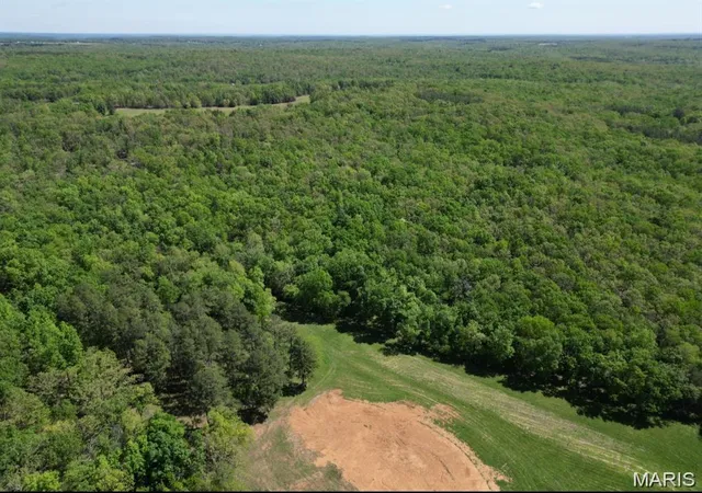 Land for sale at 9207 Old Jackson Rd, Fredericktown, MO 63645 | MLS# MIS26056809