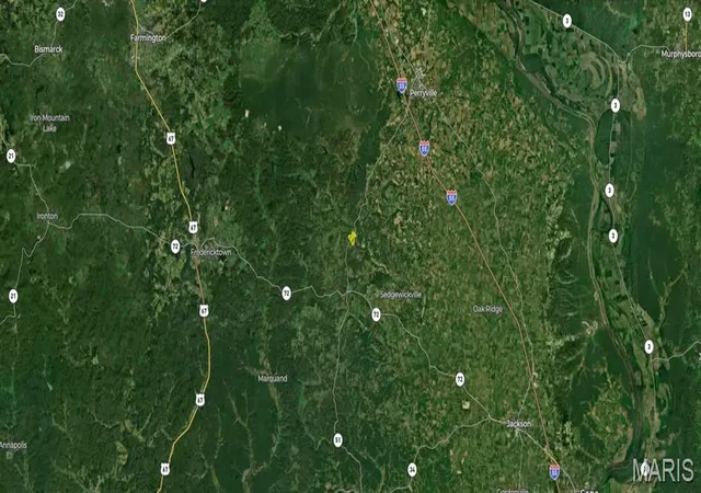 Photo 99 of Land for sale at 48831 State Hwy 51, Sedgewickville, MO 63781 | MLS# MIS26056893 | Listing updated on 2026-09-03