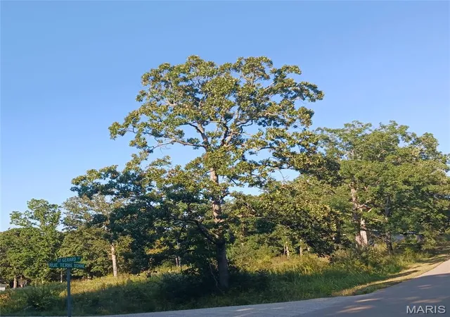 Photo 1 of Land for sale at 328 St Gerard St, Bonne Terre, MO 63628 | MLS# MIS26056911 | Listing updated on 2026-09-03