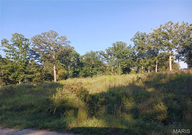 Photo 2 of Land for sale at 328 St Gerard St, Bonne Terre, MO 63628 | MLS# MIS26056911 | Listing updated on 2026-09-03