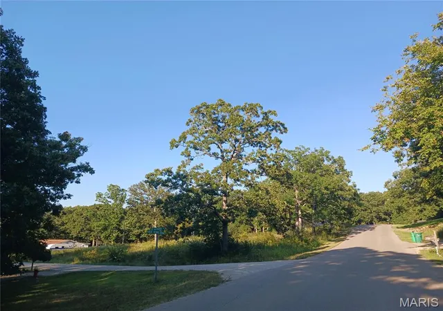 Photo 3 of Land for sale at 328 St Gerard St, Bonne Terre, MO 63628 | MLS# MIS26056911 | Listing updated on 2026-09-03