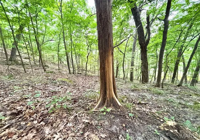 Photo 2 of Land for sale at 1652 Coles Crk Rd, Hermann, MO 65041 | MLS# MIS26056952 | Listing updated on 2026-09-23