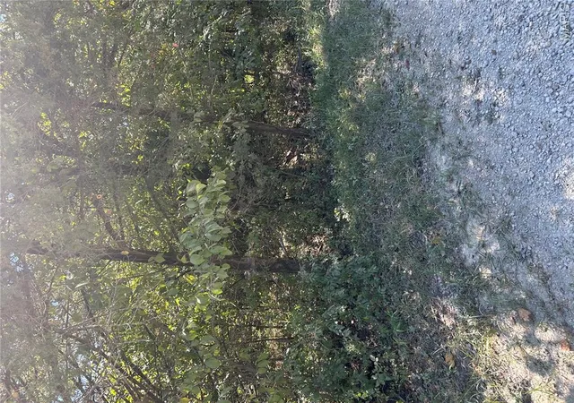 Photo 2 of Sale Pending at 0 Rue Charles, Bonne Terre, MO 63628 | MLS# MIS26056960 | Listing updated on 2026-09-18