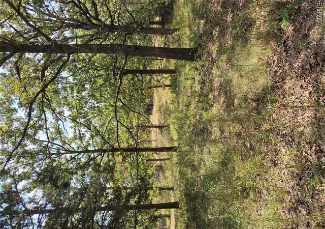 Photo 2 of Land for sale at 17740 County Rd 7460, Newburg, MO 65550 | MLS# MIS26056996 | Listing updated on 2026-09-04