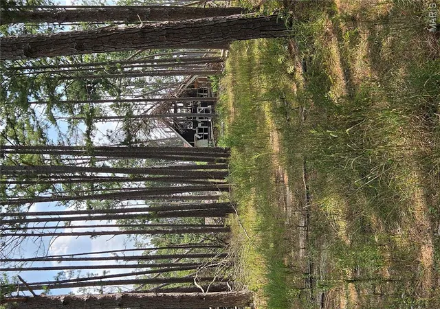 Photo 4 of Land for sale at 17740 County Rd 7460, Newburg, MO 65550 | MLS# MIS26056996 | Listing updated on 2026-09-04