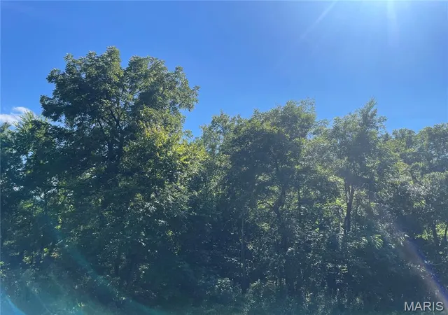 Land for sale at 0 Wayne Cr 344, Piedmont, MO 63957 | MLS# MIS26057179