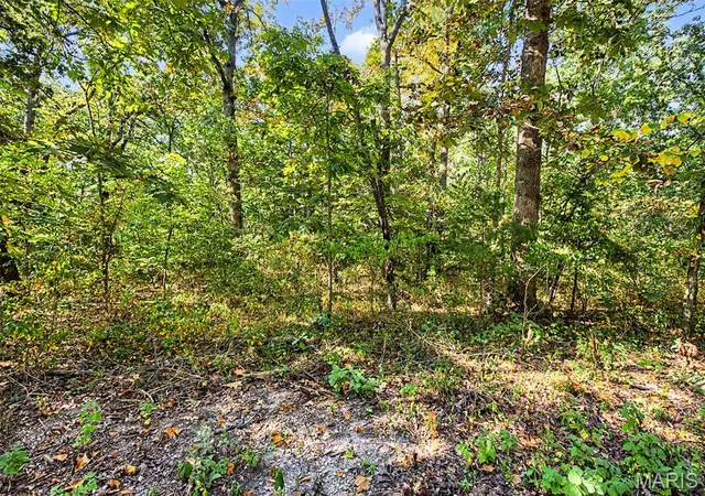 Photo 2 of Land for sale at Lot 51 Elm Dr, Dittmer, MO 63023 | MLS# MIS26057186 | Listing updated on 2026-09-06
