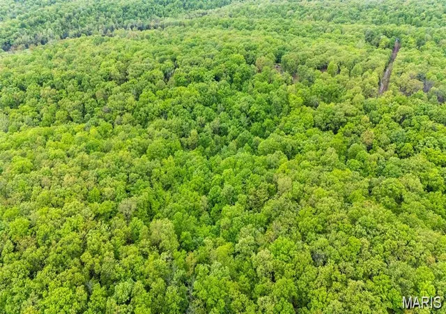 Photo 3 of Land for sale at 0 Providence Rd, Grubville, MO 63041 | MLS# MIS26057248 | Listing updated on 2026-09-03