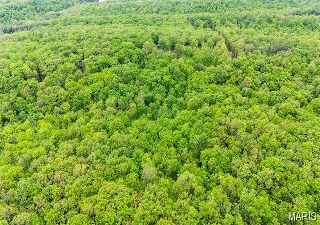 Photo 4 of Land for sale at 0 Providence Rd, Grubville, MO 63041 | MLS# MIS26057248 | Listing updated on 2026-09-03