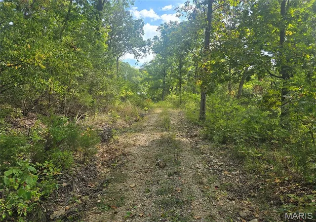 Land for sale at 8607 John Mckeever Rd, Pacific, MO 63069 | MLS# MIS26057415
