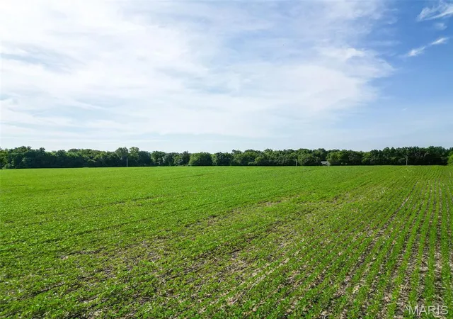 Photo 3 of Land for sale at 27248 Stamer Rd, Wright City, MO 63390 | MLS# MIS26057436 | Listing updated on 2026-09-04