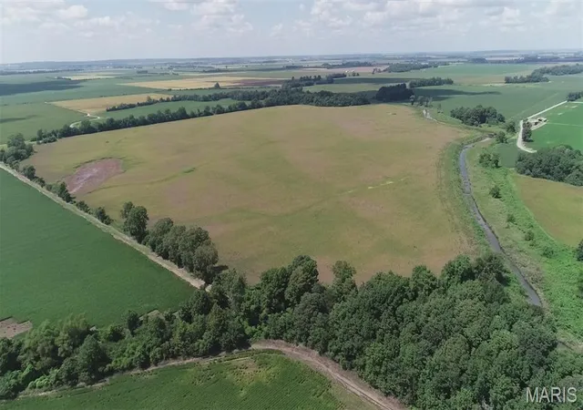 Photo 2 of Land for sale at 0 Co Rd 591, Bell City, MO 63735 | MLS# MIS26057481 | Listing updated on 2026-09-04