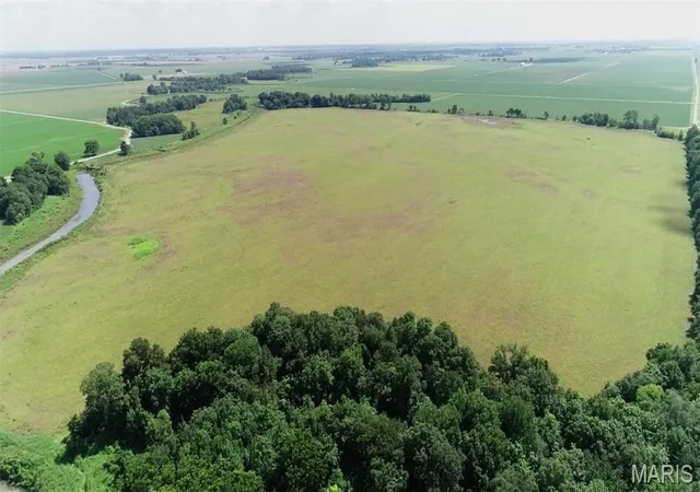 Photo 3 of Land for sale at 0 Co Rd 591, Bell City, MO 63735 | MLS# MIS26057481 | Listing updated on 2026-09-04