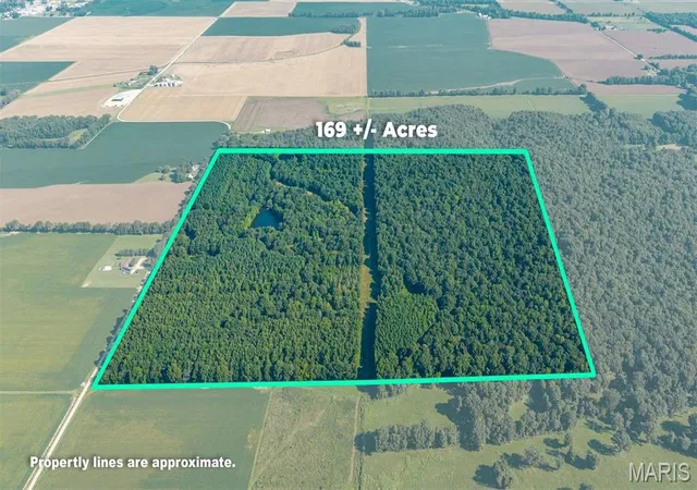 Land for sale at 0 County Rd 307, Advance, MO 63730 | MLS# MIS26057492