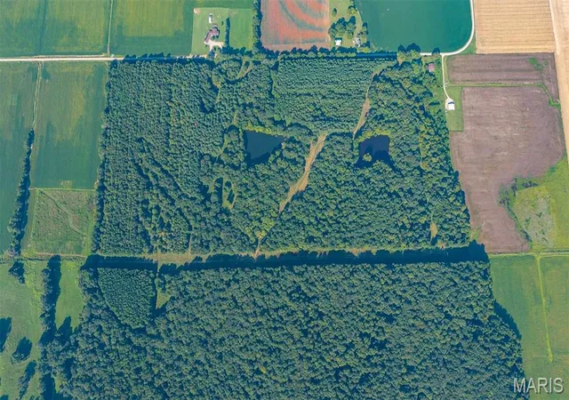 Photo 3 of Land for sale at 0 County Rd 307, Advance, MO 63730 | MLS# MIS26057492 | Listing updated on 2026-09-04