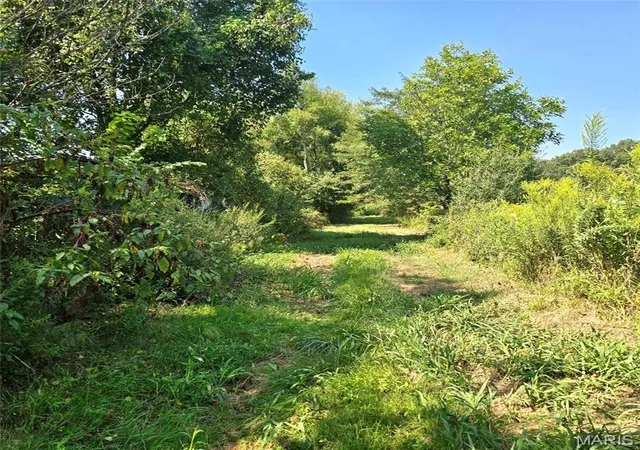 Photo 4 of Land for sale at 000 Oshel, Stonefort, IL 62987 | MLS# MIS26057535 | Listing updated on 2026-09-05