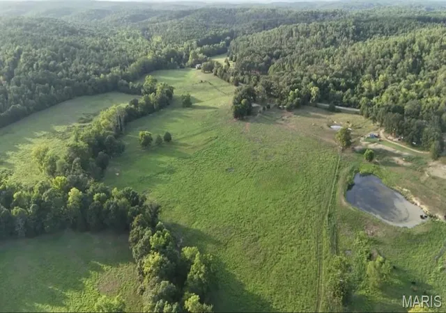 Photo 3 of Land for sale at 000 U Hwy, Patterson, MO 63956 | MLS# MIS26057537 | Listing updated on 2026-09-08