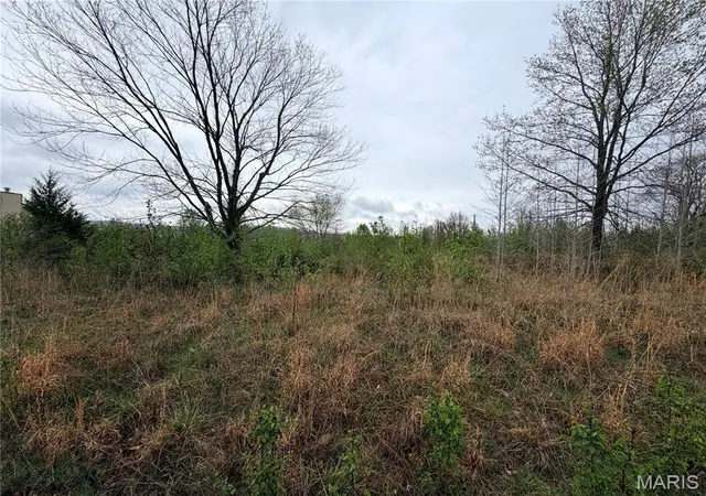 Photo 1 of Land for sale at 0 Salina Rd, Waynesville, MO 65583 | MLS# MIS26057551 | Listing updated on 2026-09-05