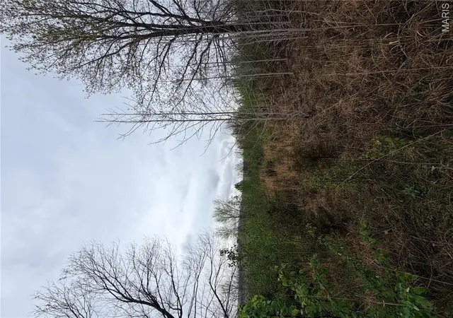 Photo 3 of Land for sale at 0 Salina Rd, Waynesville, MO 65583 | MLS# MIS26057551 | Listing updated on 2026-09-05