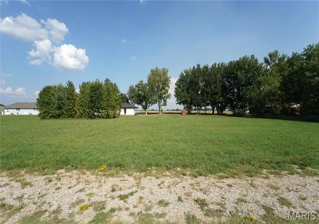 Photo 2 of Land for sale at 0 Mcnair St, Dexter, MO 63841 | MLS# MIS26057559 | Listing updated on 2026-09-05