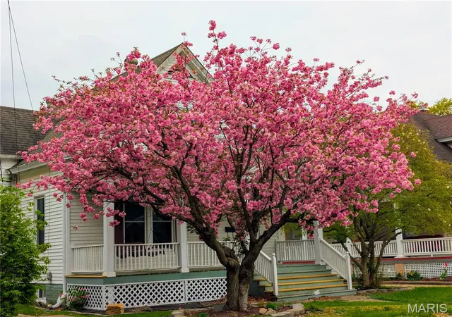 Photo 38 of Single family home for sale at 415 E 1st South St, Carlinville, IL 62626 | MLS# MIS26057611 | Listing updated on 2026-09-06