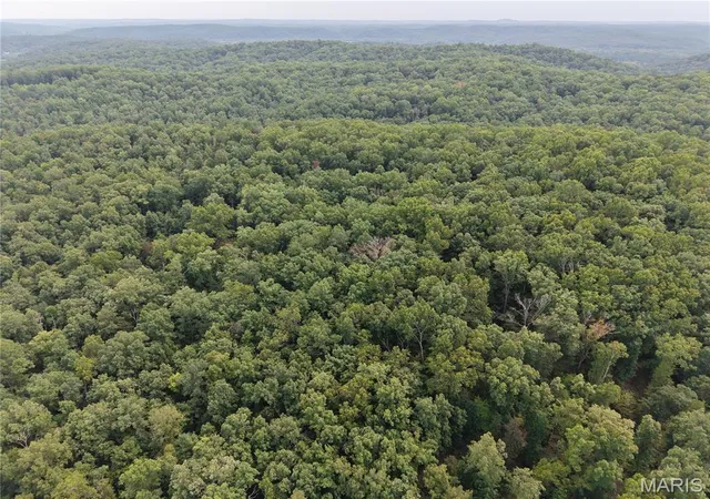 Land for sale at Section 32 Township 29 Range 3, Piedmont, MO 63957 | MLS# MIS26057793