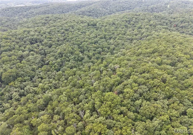 Photo 3 of Land for sale at Section 32 Township 29 Range 3, Piedmont, MO 63957 | MLS# MIS26057793 | Listing updated on 2026-10-13