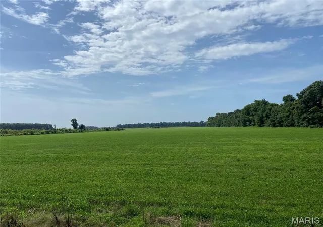 Photo 1 of Land for sale at 25100 State Hwy Ab, Essex, MO 63846 | MLS# MIS26057840 | Listing updated on 2026-09-08