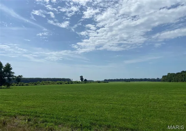 Photo 2 of Land for sale at 25100 State Hwy Ab, Essex, MO 63846 | MLS# MIS26057840 | Listing updated on 2026-09-08
