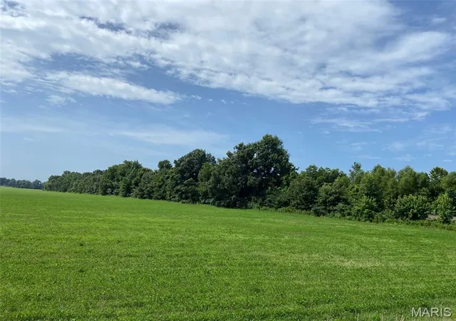 Photo 3 of Land for sale at 25100 State Hwy Ab, Essex, MO 63846 | MLS# MIS26057840 | Listing updated on 2026-09-08