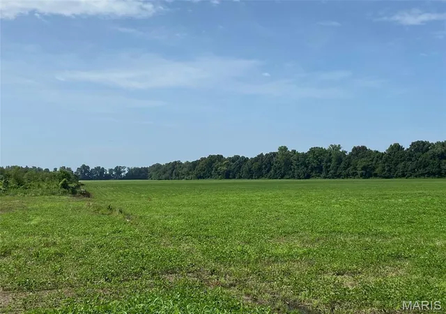 Photo 3 of House for sale at 25100 State Hwy Ab, Essex, MO 63846 | MLS# MIS26057840 | Listing updated on 2026-09-08