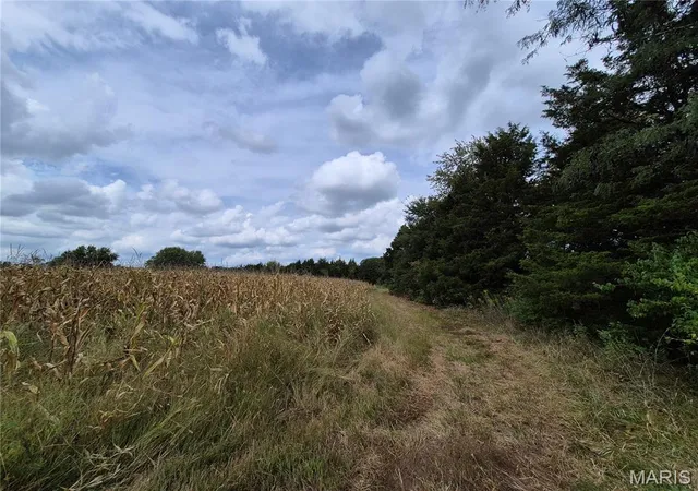 Photo 3 of Sale Pending at 0 Russell Rd (tract 4 15+/ Acres), Troy, MO 63379 | MLS# MIS26058627 | Listing updated on 2026-09-21