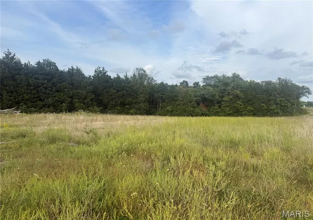 Photo 1 of Land for sale at 32 Acres Pinckney St, Warrenton, MO 63383 | MLS# MIS26058712 | Listing updated on 2026-09-13