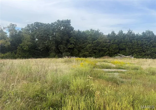 Photo 2 of Land for sale at 32 Acres Pinckney St, Warrenton, MO 63383 | MLS# MIS26058712 | Listing updated on 2026-09-13