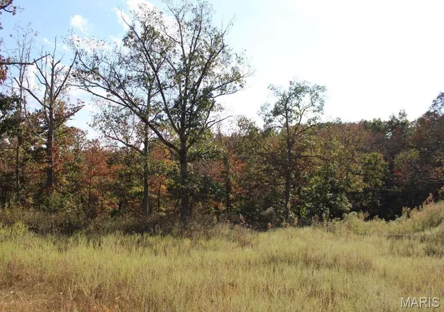 Photo 29 of Single family home for sale at 18400 County Rd 7520, Newburg, MO 65550 | MLS# MIS26058858 | Listing updated on 2026-09-17
