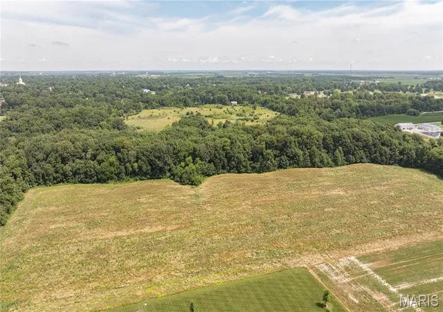 Photo 3 of Land for sale at Tract 3 Garnet Rd, Carlinville, IL 62626 | MLS# MIS26058909 | Listing updated on 2026-09-21