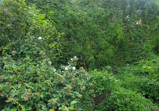 Photo 4 of Land for sale at 12x Hillcrest Ave, Collinsville, IL 62234 | MLS# MIS26059198 | Listing updated on 2026-09-21
