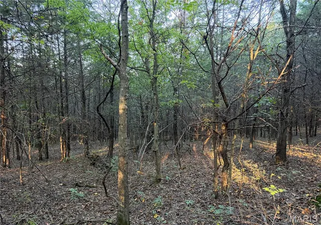 Photo 3 of Land for sale at 4066 Hwy Vv, Berger, MO 63014 | MLS# MIS26059491 | Listing updated on 2026-09-17