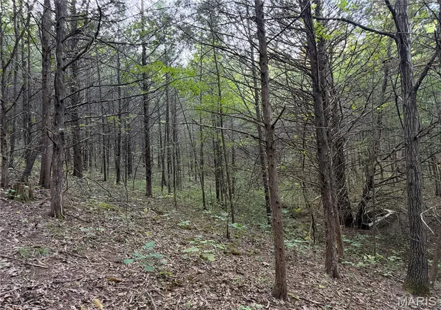 Photo 4 of Land for sale at 4066 Hwy Vv, Berger, MO 63014 | MLS# MIS26059491 | Listing updated on 2026-09-17