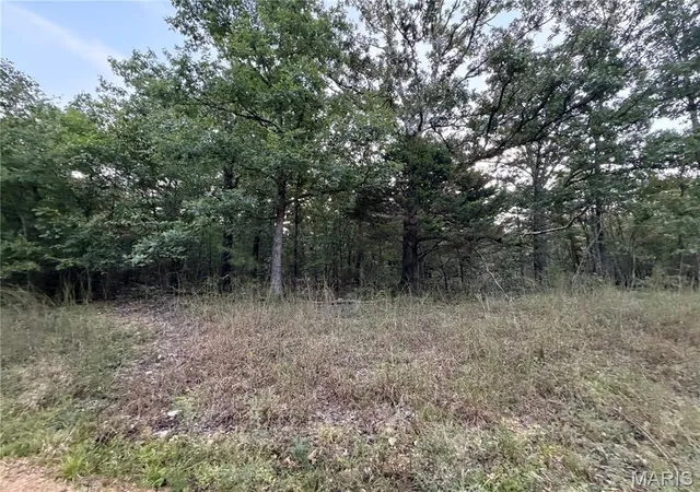 Photo 1 of Land for sale at 0 Bcr 838, Marble Hill, MO 63764 | MLS# MIS26059515 | Listing updated on 2026-09-21