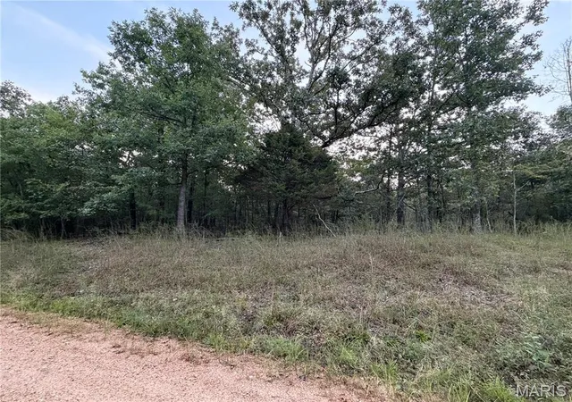 Photo 2 of Land for sale at 0 Bcr 838, Marble Hill, MO 63764 | MLS# MIS26059515 | Listing updated on 2026-09-21