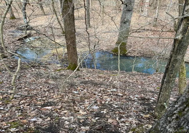 Photo 3 of Land for sale at 7919 County Rd 4055, Rhineland, MO 65069 | MLS# MIS26059550 | Listing updated on 2026-10-19