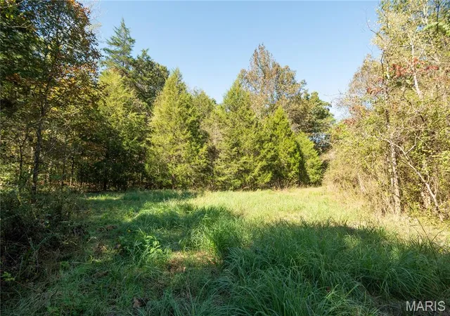 Photo 3 of Land for sale at 123 Bush Dr, Zalma, MO 63787 | MLS# MIS26059601 | Listing updated on 2026-10-20